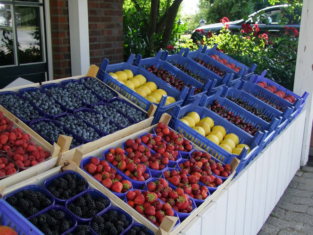 Baumbluete_Obsthof_Ramdohr_DSCF4142-1