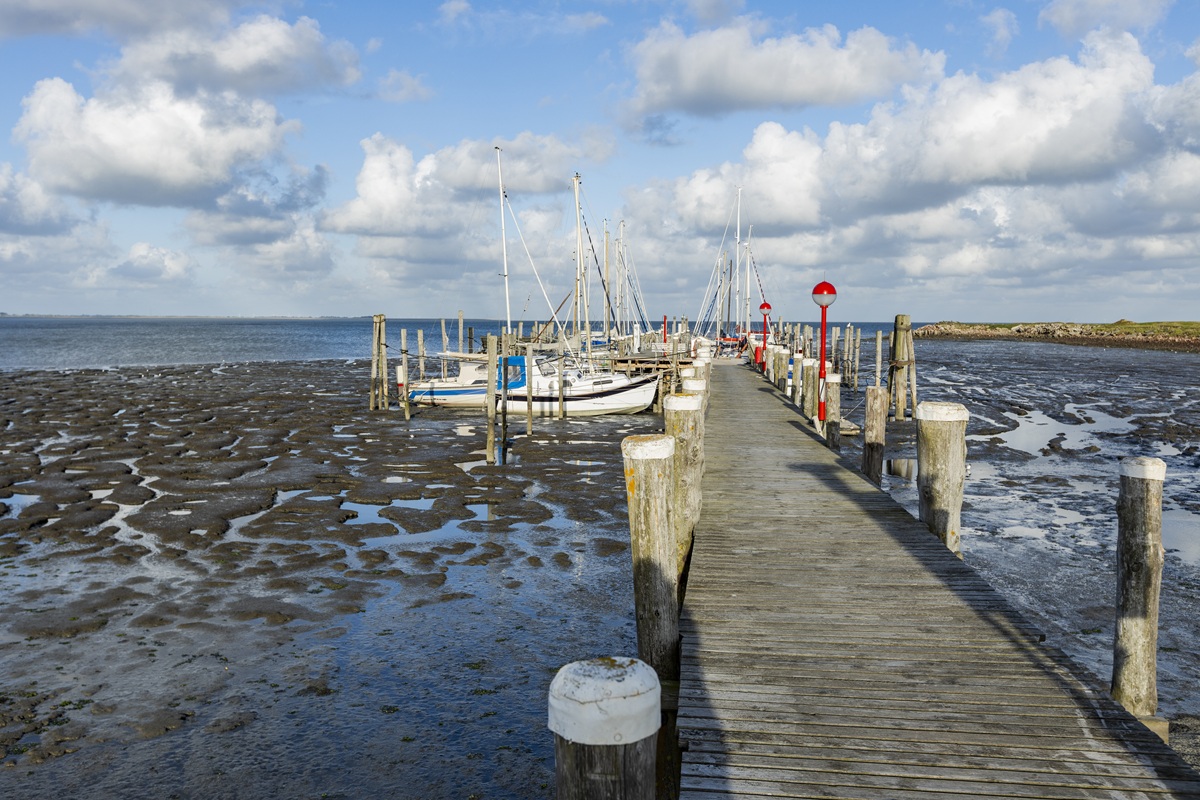 Ein hölzerner Steg führt zu vertäuten Segelbooten am Rantumer Hafen, umgeben von trockenem Wattenmeer bei Ebbe.