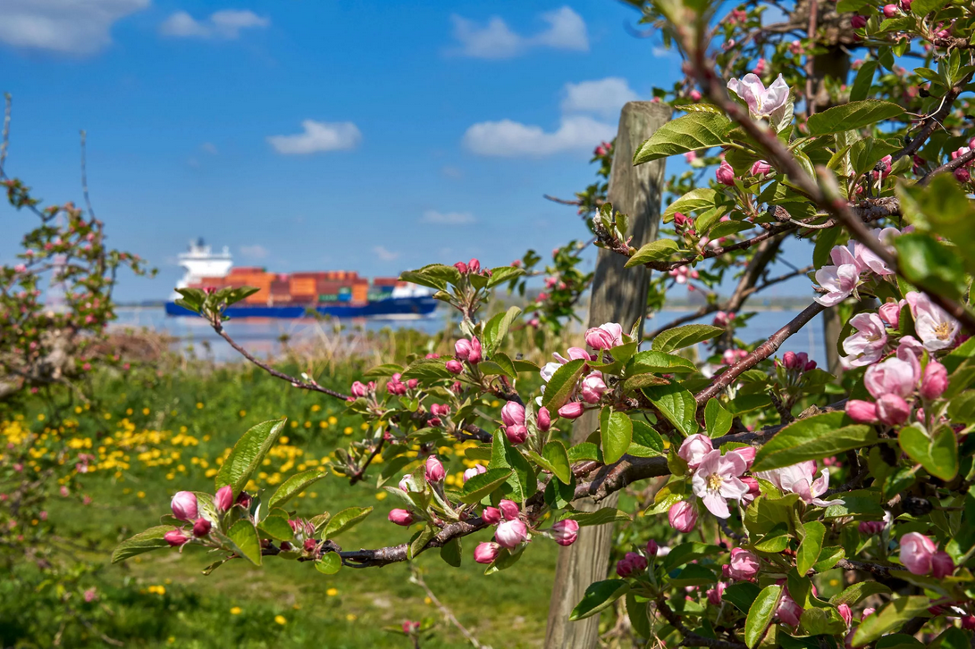 Altes_Land_0002_c_Tourismusverband Landkreis Stade  Elbe e