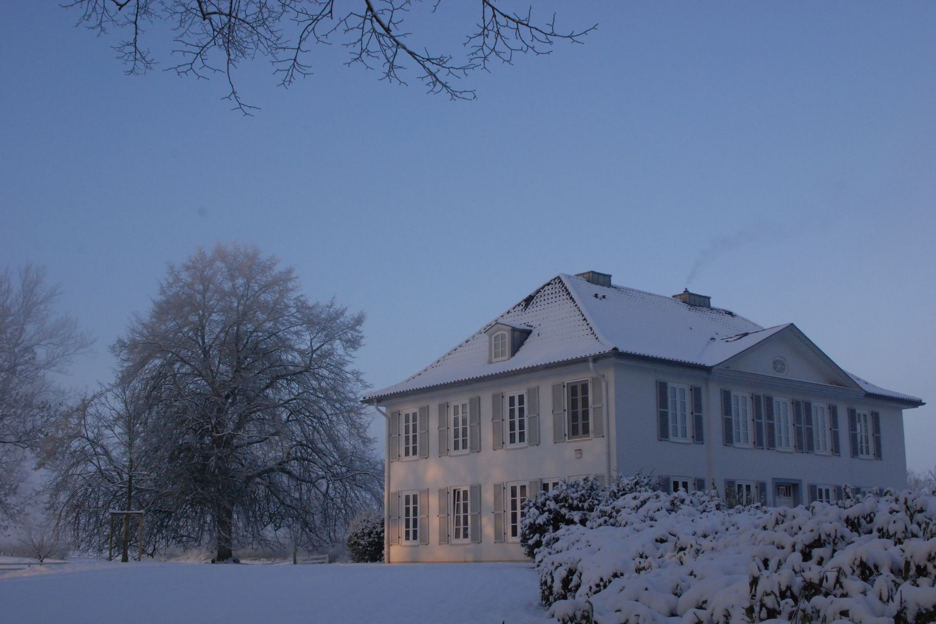 w-markt_stocksee