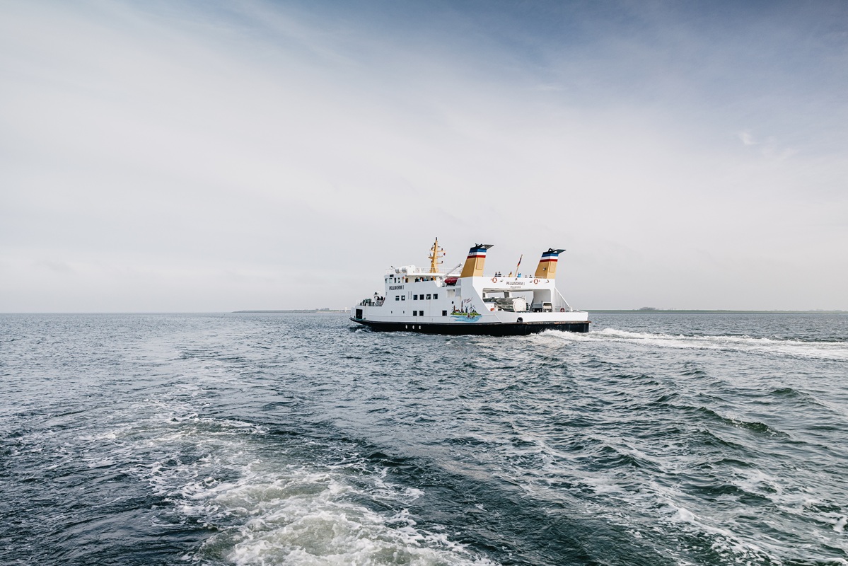 Schiffahrt mit Seetierfang und zu den Seehunden