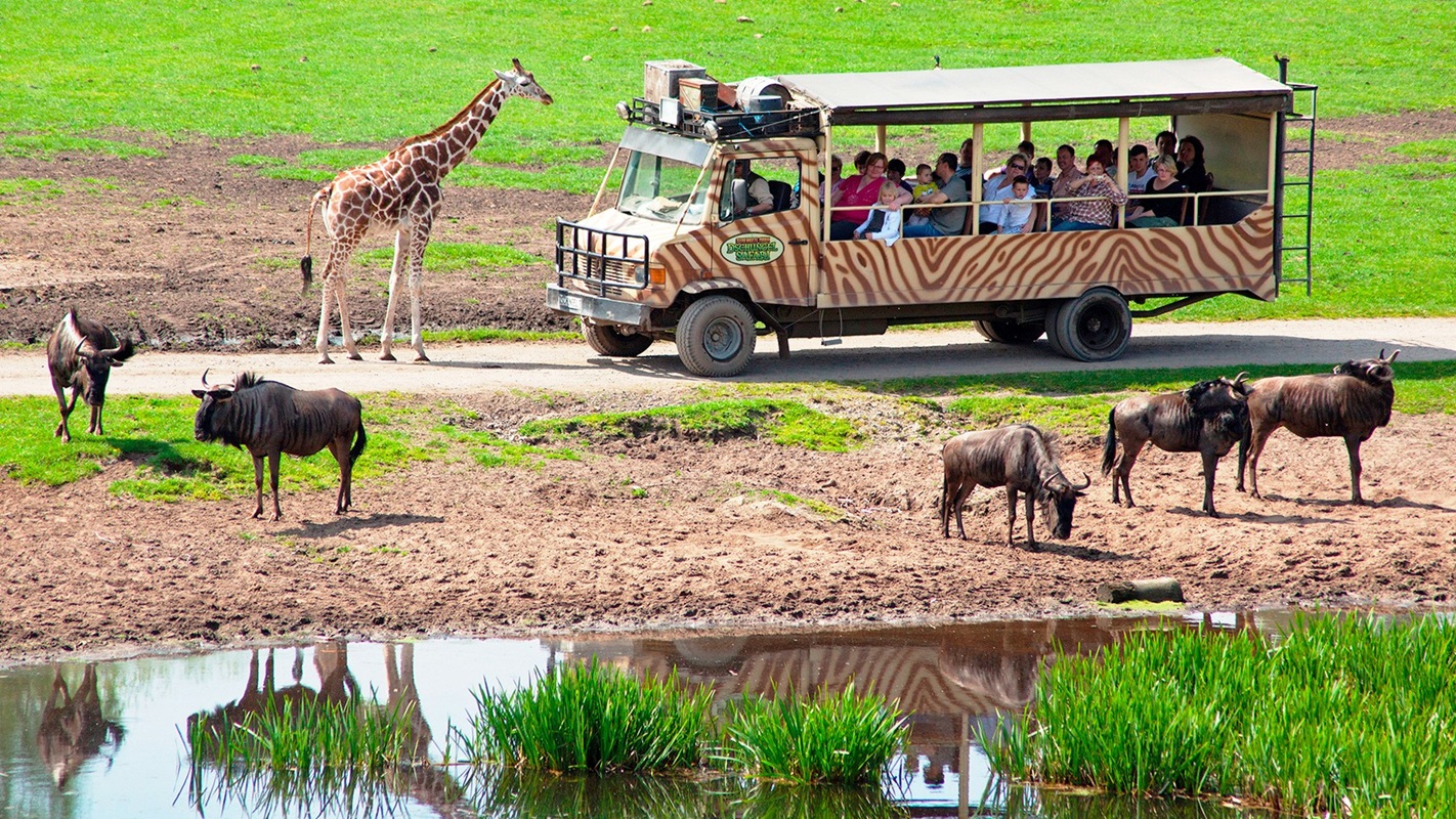 02-Serengeti-Safari